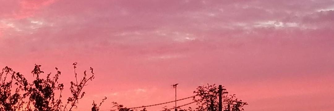 ta79mi1's profile banner image
