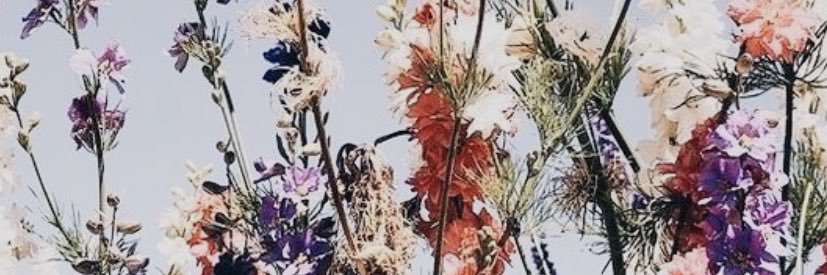 Audreybriers722's profile banner image