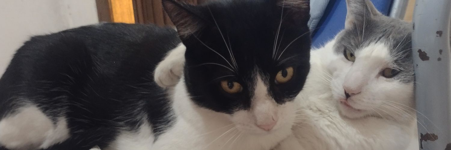 Euggedi's profile banner image