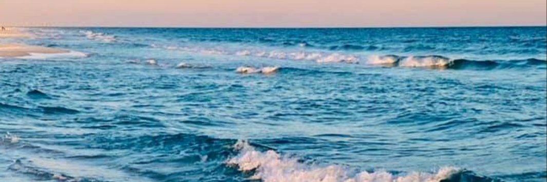 BuskeyKD's profile banner image