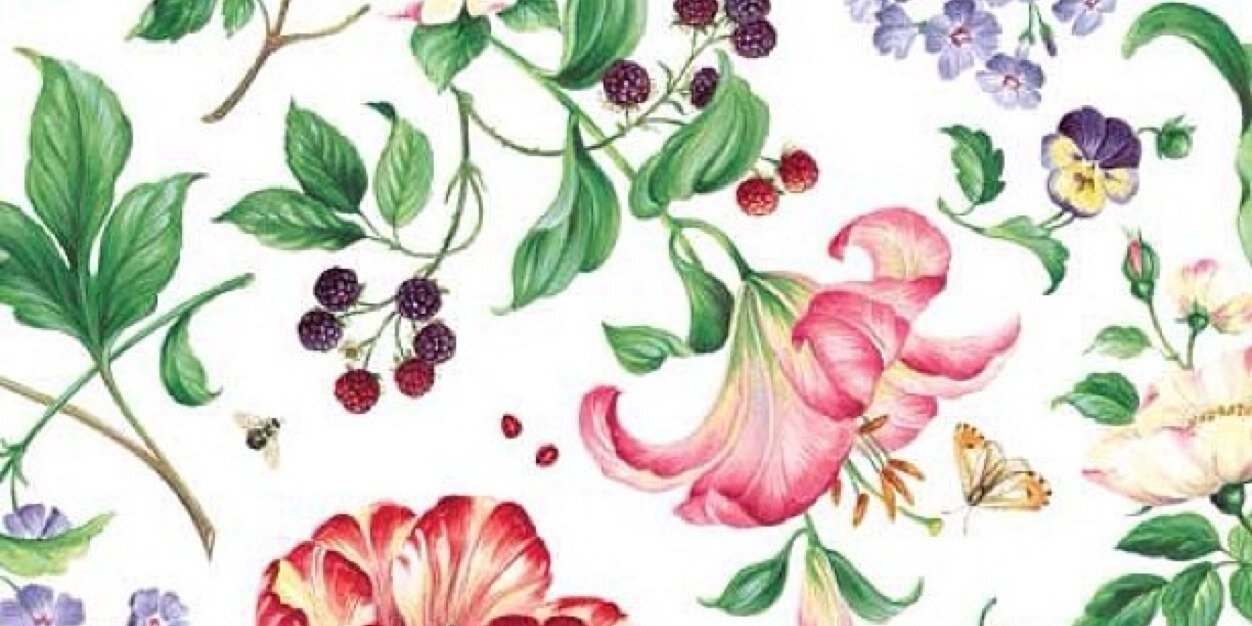 Fran Almeida banner