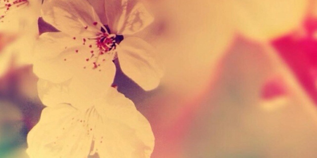 Jackiiethomasx's profile banner image