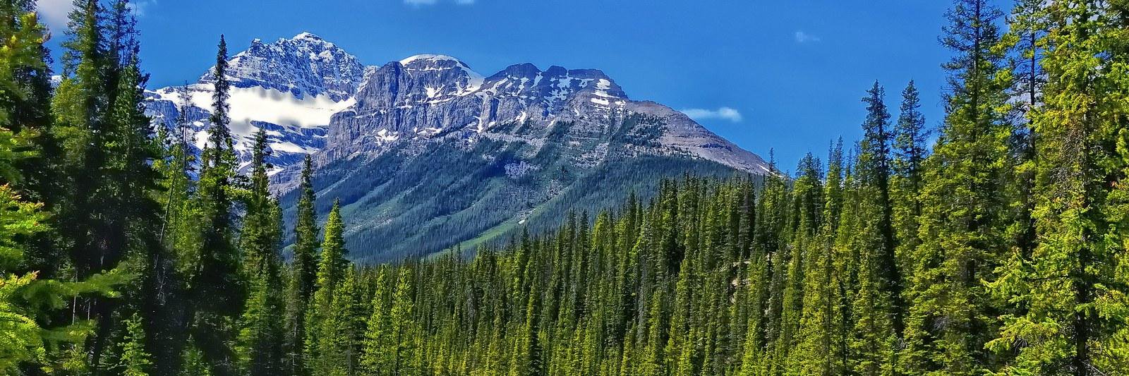 ElliottKopel's profile banner image