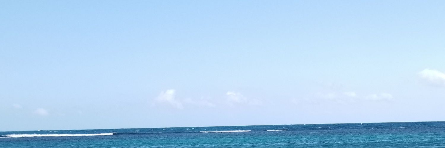 _Sonic4Life_'s profile banner image
