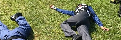 せれがきんぐ banner