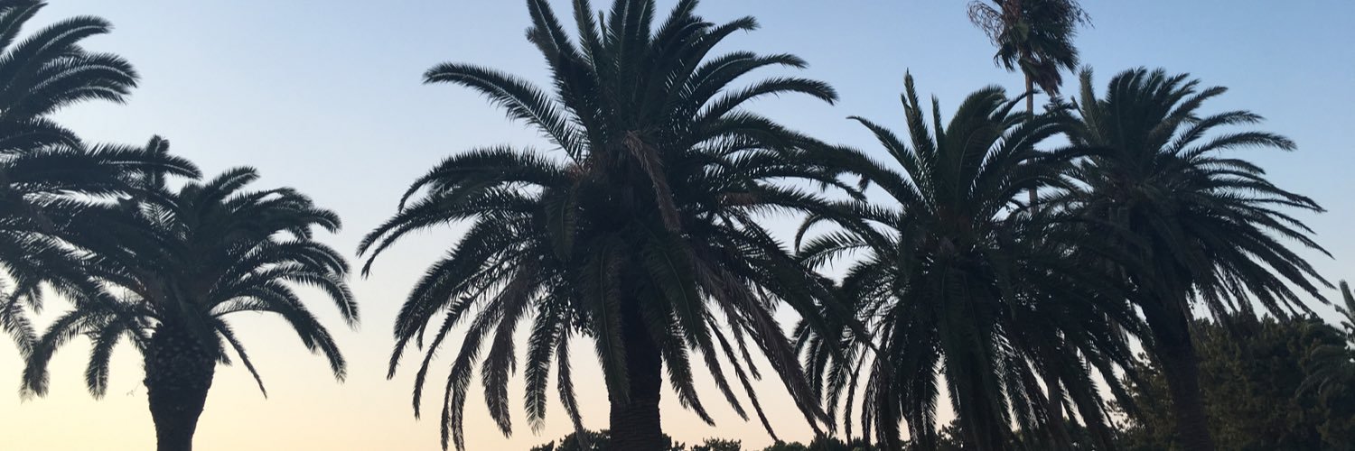 msilsp's profile banner image