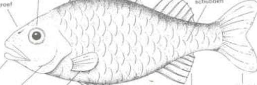 Docwerker's profile banner image