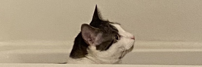 SMK_nola's profile banner image