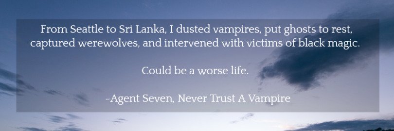 VivianLaneWrite's profile banner image