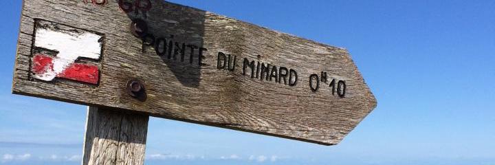 DarrellMinards's profile banner image