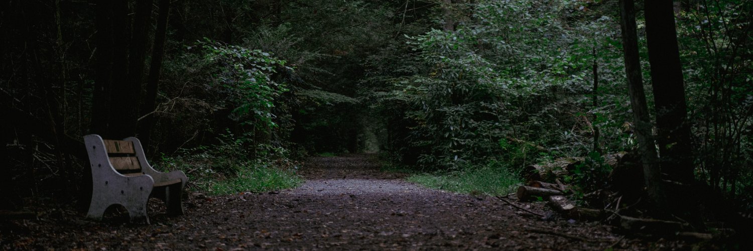 carcrasher34's profile banner image