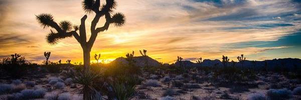 phyll's profile banner image