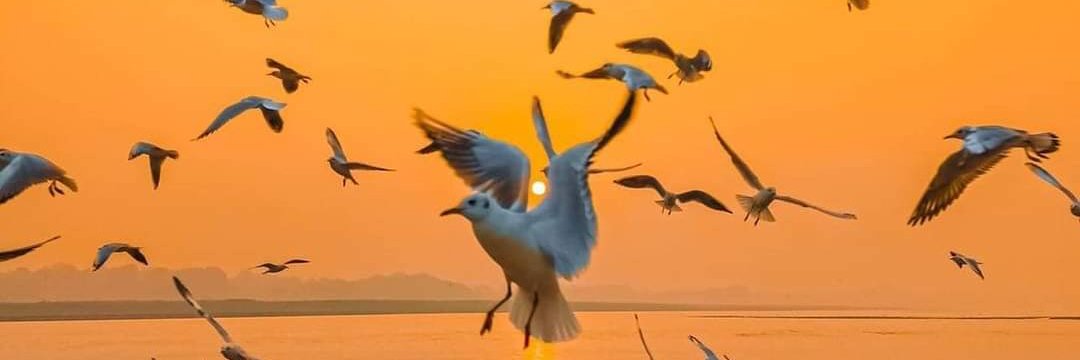 YogeshDedha's profile banner image