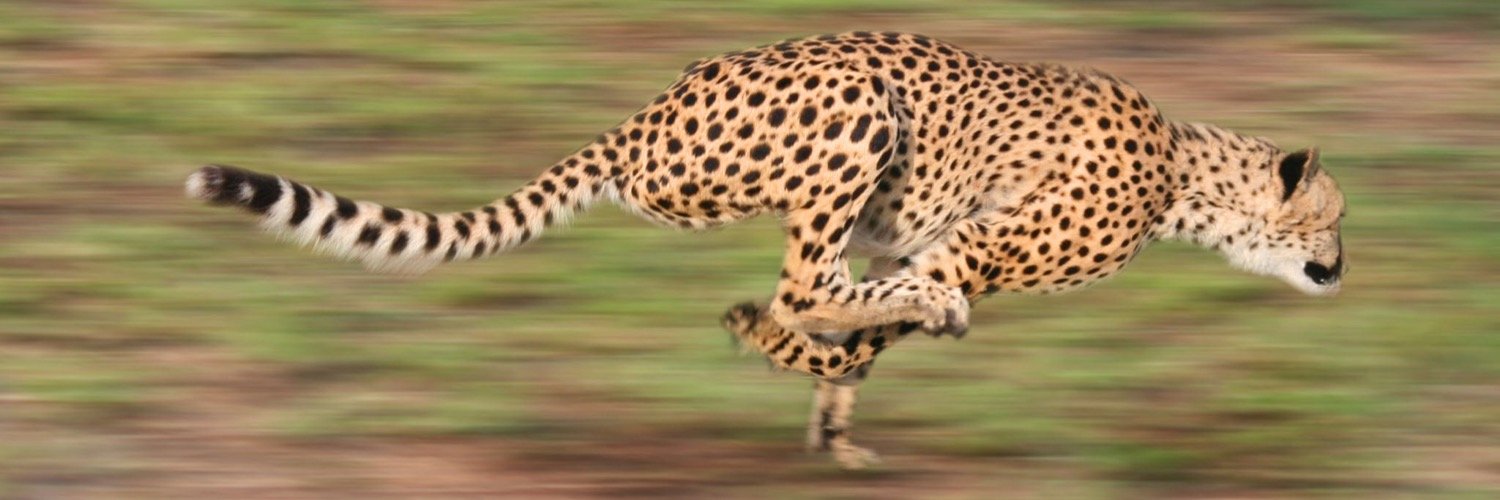 andazolap14's profile banner image