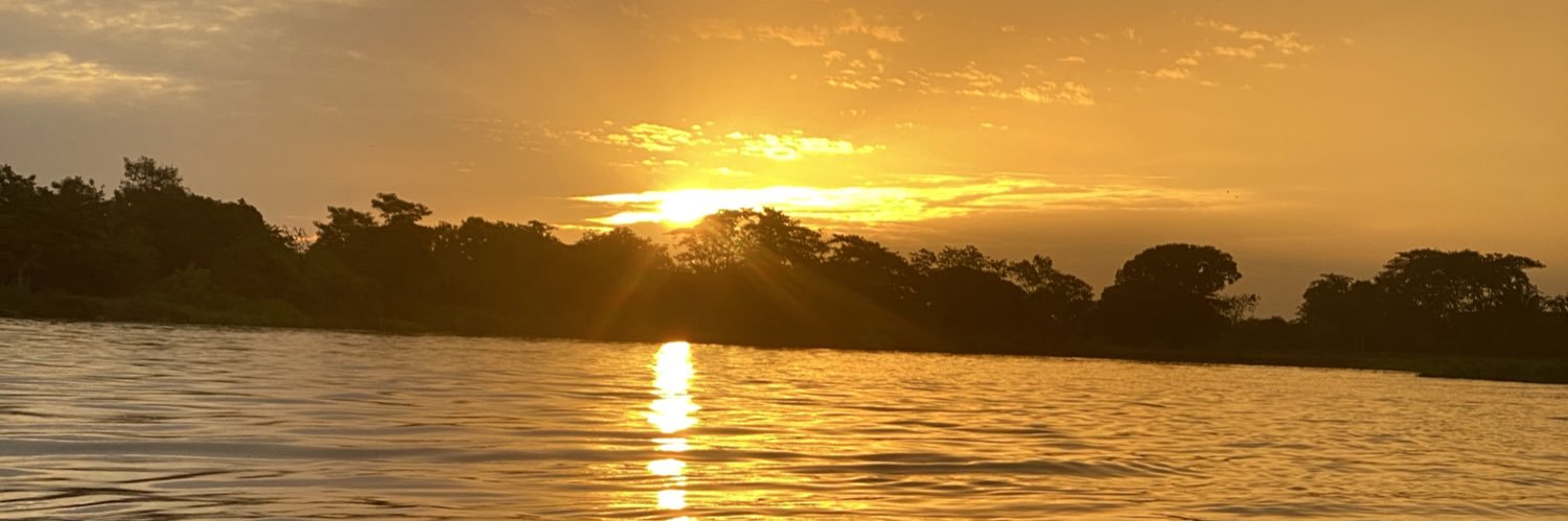 Lufemuca's profile banner image