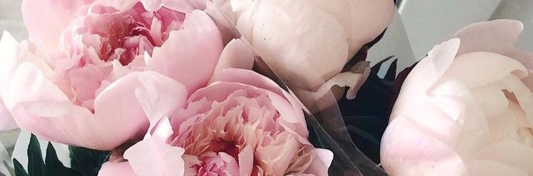 KatieLStocker's profile banner image