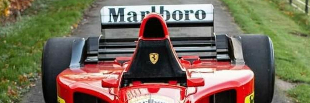 sgvanelli's profile banner image