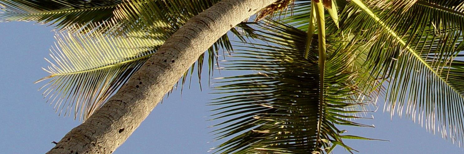 GPASouthFlorida's profile banner image