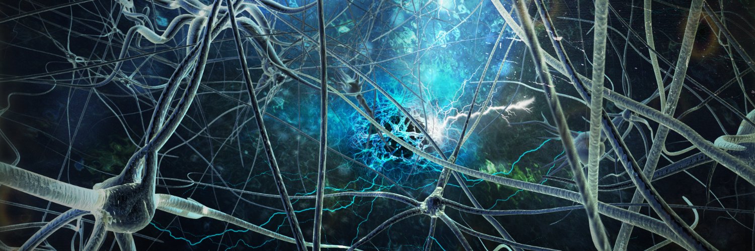 LivaRava's profile banner image