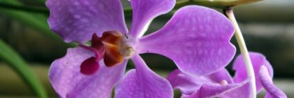 BetaDeltaSTTI's profile banner image