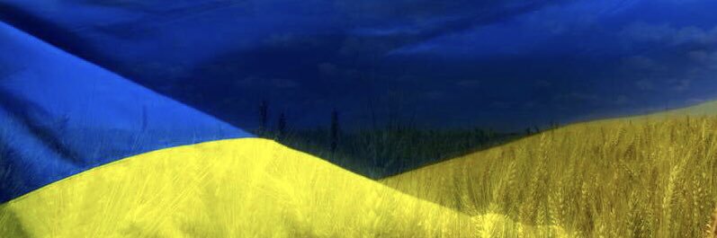 tkachenkoalina_'s profile banner image