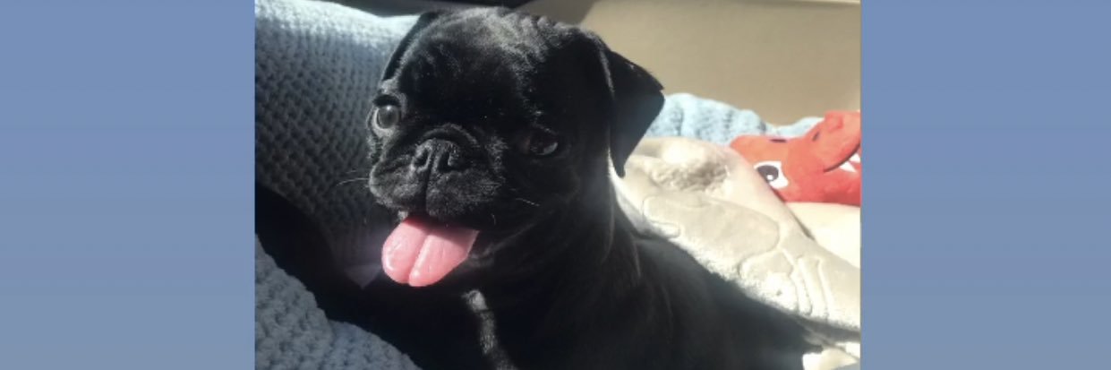 hannahbarkley_'s profile banner image
