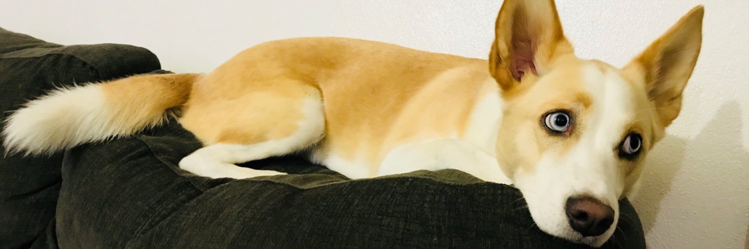 イッタ banner