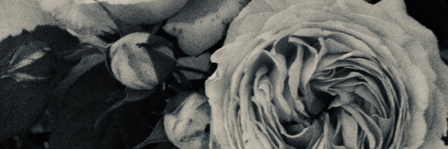 malva_com's profile banner image