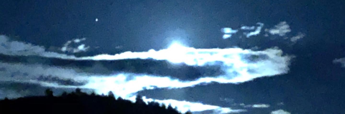 Avalon66Wargo's profile banner image