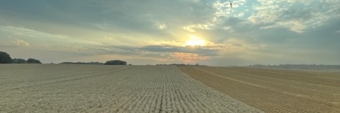 MarseuGordon's profile banner image