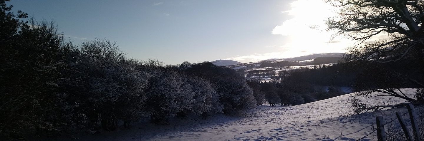 lizgrieve's profile banner image