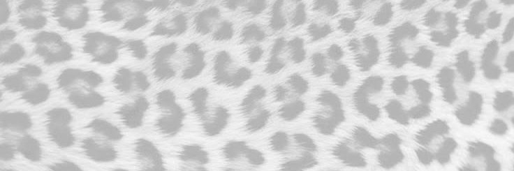 lexiddxa's profile banner image