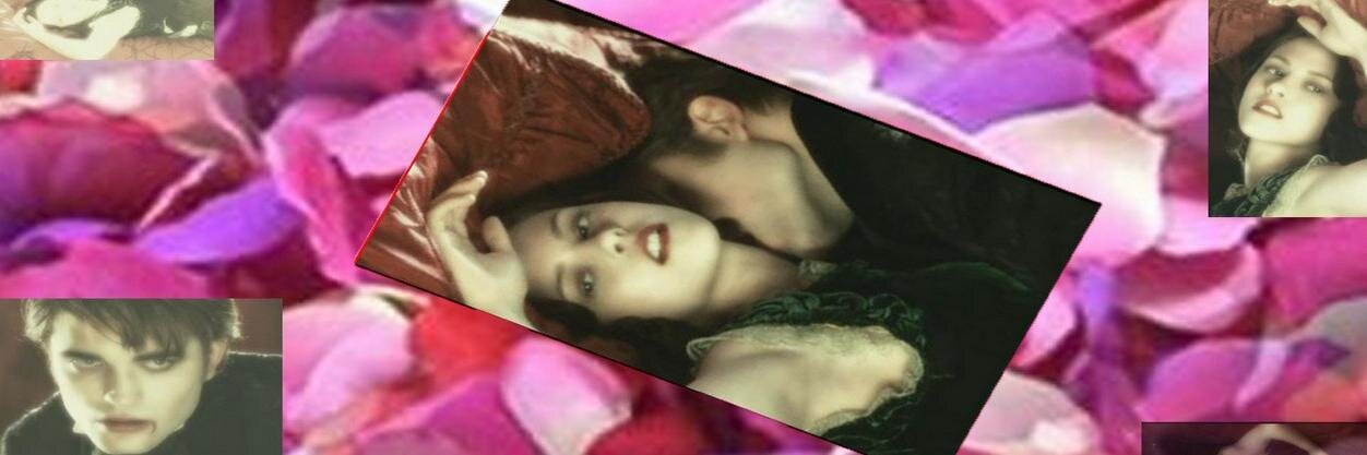 mirsmogsandgo's profile banner image