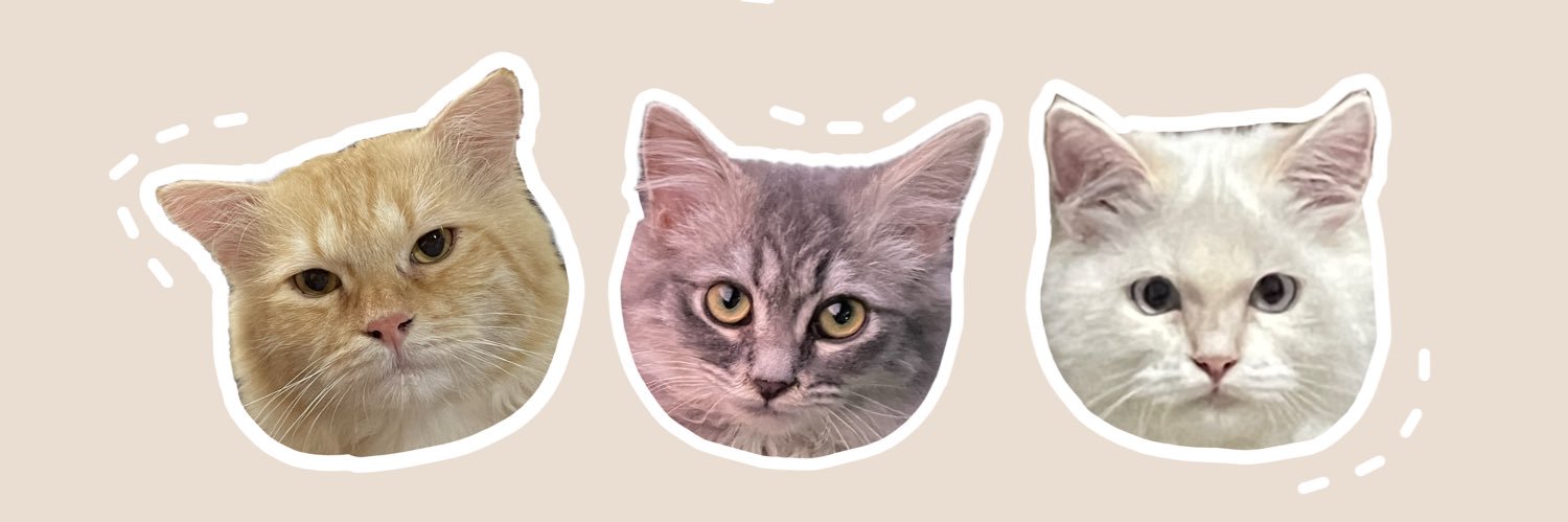 ohheyabi's profile banner image