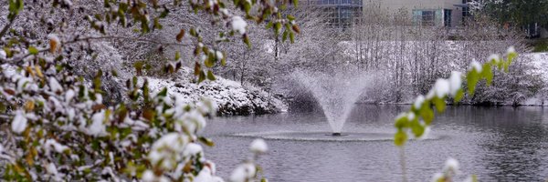 sandburg Profile Banner