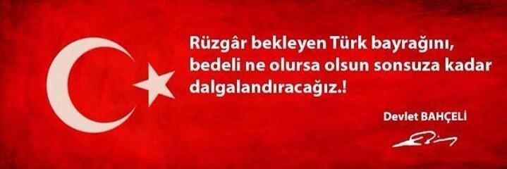 oz_ergin's profile banner image