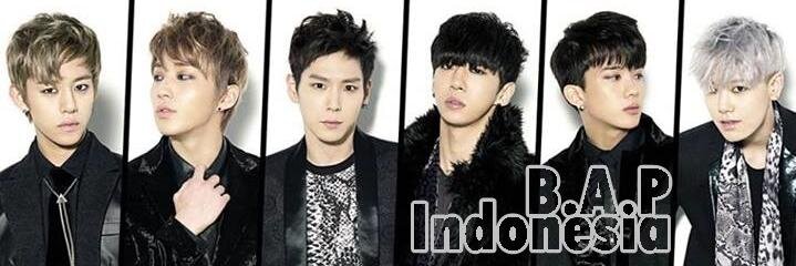 BAPIndonesia_'s profile banner image
