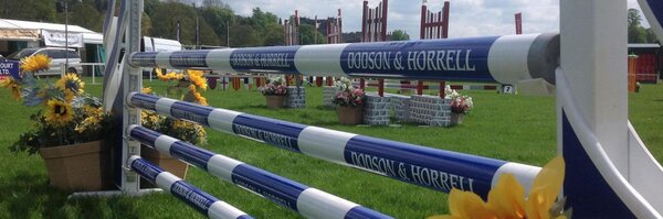 DandHequine Profile Banner