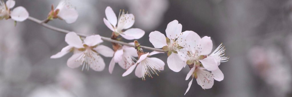 JOEY🎀sketch&fashion🎻 banner