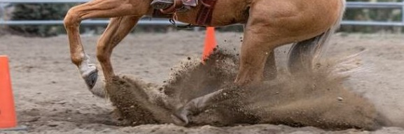 SteveRother's profile banner image