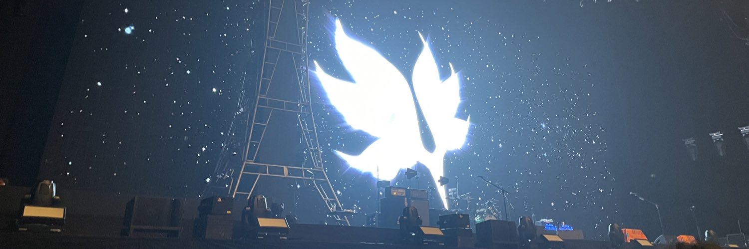 bocmiho's profile banner image