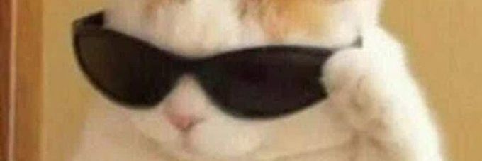 DelfiBusson's profile banner image