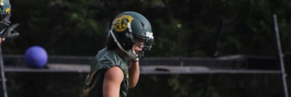 IMcmullens Profile Banner