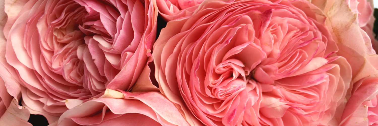 JaneCan_'s profile banner image