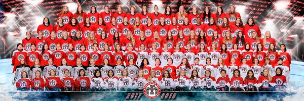 WWFHA Profile Banner