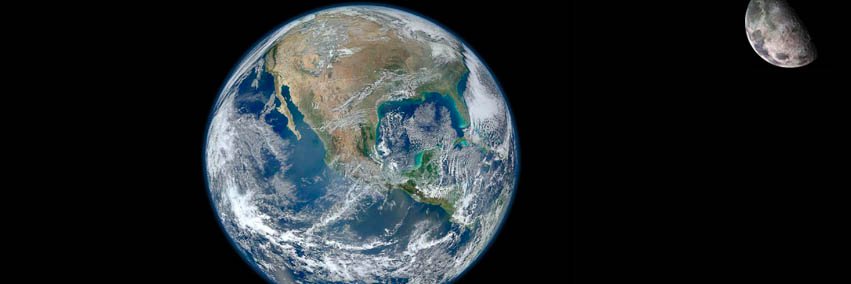 Danielle Scheffey banner