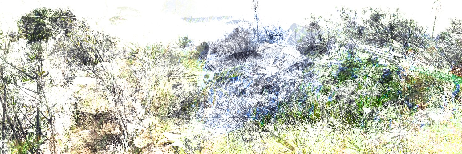 DCathedral's profile banner image