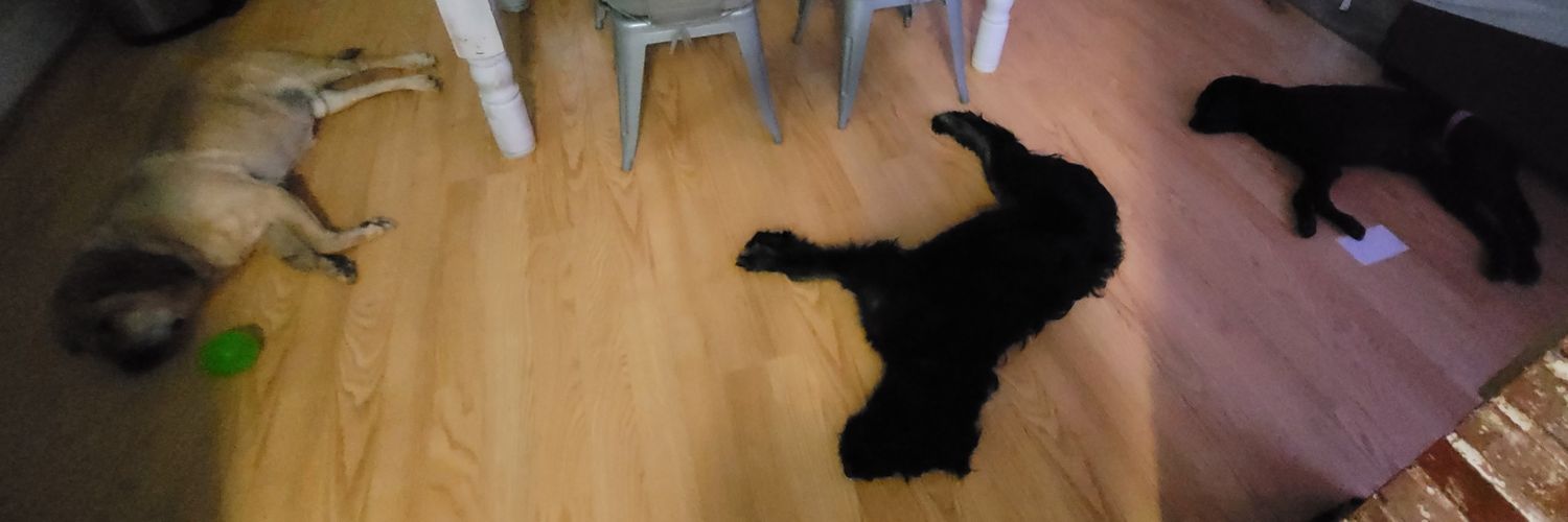 DaTiffsters's profile banner image