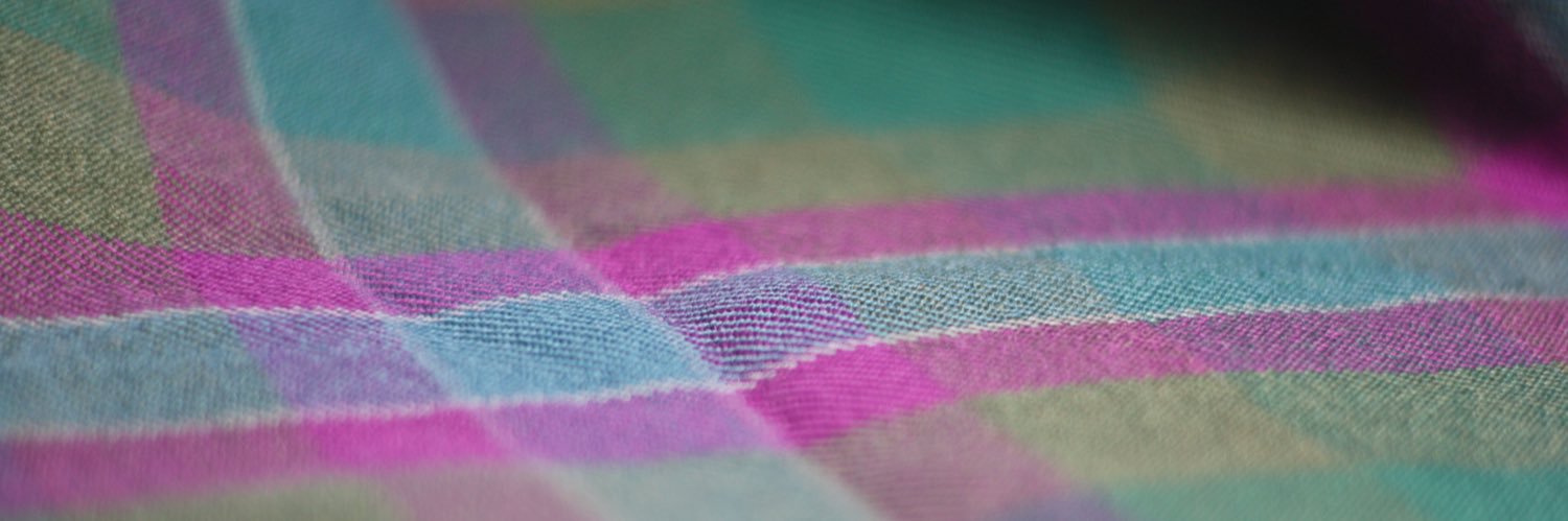 Diny de Kleer - Beverwijk 🍋🏴󠁧󠁢󠁳󠁣󠁴󠁿🏳️‍🌈 banner