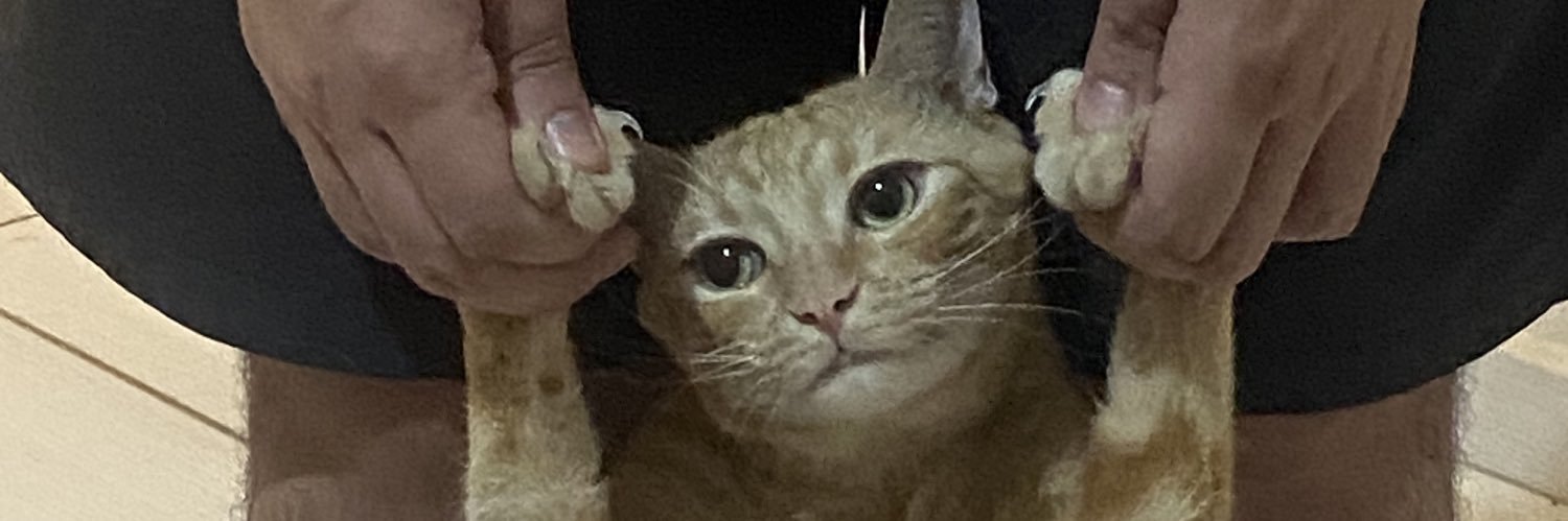 calomenoml's profile banner image